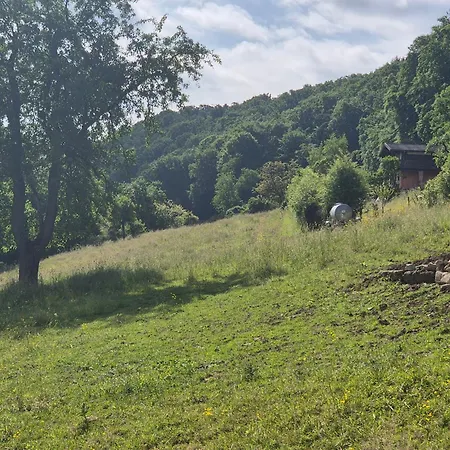 Sauerbleck * 施泰因海姆