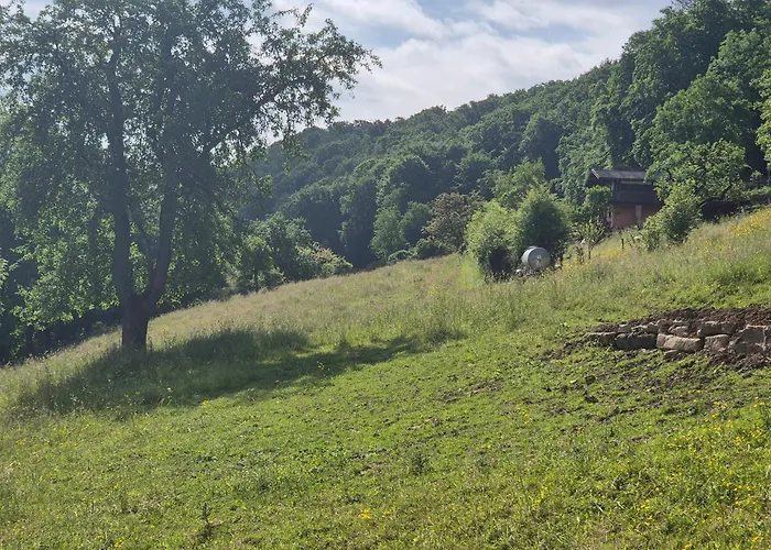 Sauerbleck * Steinheim